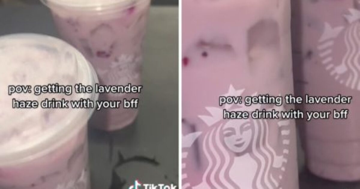 Does Starbucks Have Lavender Syrup: Exploring Beverage Flavors